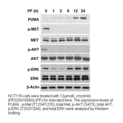 Apexbio Technology LLC (R)-Crizotinib, 10mg. Cas: 877399-52-5 MFCD: MFCD12407409.