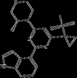 Apexbio Technology LLC&nbsp;AZ20 1233339-22-4 5mg