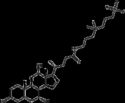Apexbio Technology LLC CHAPS,5g CAS# 75621-03-3, Quantity: Each of 1