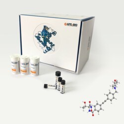Apexbio Technology LLC CHIR-090, 728865-23-4, MFCD22665727, 10 mg, Quantity: