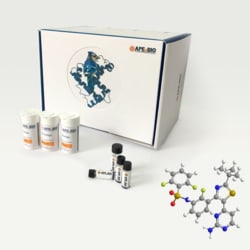Apexbio Technology LLC Dabrafenib Mesylate (GSK-2118436), 100mg, Quantity: