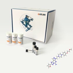 Apexbio Technology LLC Preladenant, 10mg. Cas: 377727-87-2 MFCD: MFCD17167056.