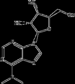 Apexbio Technology LLC&nbsp;Puromycin aminonucleoside(Synonyms: Puromycin Aminonucleoside, Puromycin Nucleoside, 3'-Amino-3'-deoxyadenosine, PAN, NSC 3056, Puromycin Aminonucleosid, Adenosine, 3'-amino-3'-deoxy-), 50mg, CAS: 58-60-6.