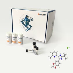 Apexbio Technology LLC SB-505124 hydrochloride, 10mg. Cas: 356559-13-2