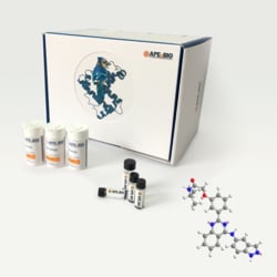 Apexbio Technology LLC SLx-2119, 911417-87-3, MFCD23098791, 10 mg, Quantity: