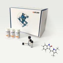 Apexbio Technology LLC SU5416, 204005-46-9, MFCD09763655, 50 mg, Quantity: