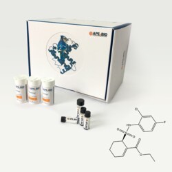 Apexbio Technology LLC TAK-242, 243984-11-4, MFCD11046362, 5 mg, Quantity:
