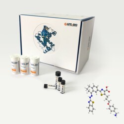 Apexbio Technology LLC Bcl-xL inhibitor,potent and selective. WEHI-539