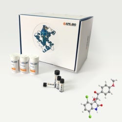 Apexbio Technology LLC&nbsp;RNA Helicase A (RHA) inhibitor. YK-4-279 10mg. 898280-07-4. MFCD26793867