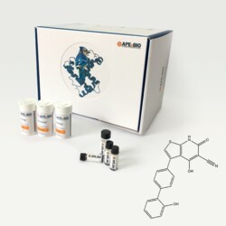 Apexbio Technology LLC A-769662, 844499-71-4, MFCD11977269, 25 mg, Quantity: