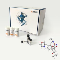 Apexbio Technology LLC AUY922 (NVP-AUY922), 100mg. Cas: 747412-49-3 MFCD: