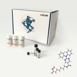 Apexbio Technology LLC Rocilinostat (ACY-1215), 50mg. Cas: 1316214-52-4