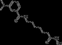 Apexbio Technology LLC M344 10MM IN 1ML DMSO, Quantity: Pack of 1