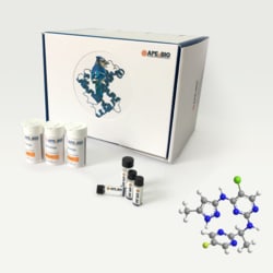 Apexbio Technology LLC ATP-competitive JAK2 inhibitor 935666-88-9. MFCD16038904,
