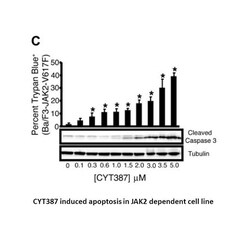 Apexbio Technology LLC ATP-competitive JAK1 and 2 inhibitor 1056634-68-4.