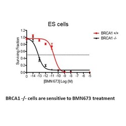 Apexbio Technology LLC BMN 673, 1207456-01-6, MFCD22666357, 10 mg, Quantity: