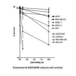 Apexbio Technology LLC Rucaparib (AG-014699,PF-01367338), 459868-92-9,