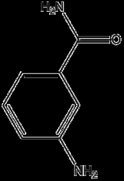 Apexbio Technology LLC&nbsp;3-aminobenzamide 3544-24-9 250mg