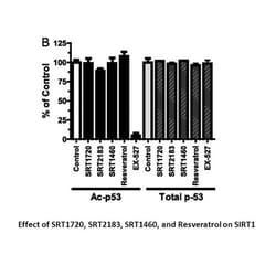 Apexbio Technology LLC SRT1720 HCl, 10mg. Cas: 1001645-58-4 MFCD: MFCD18074509.
