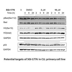 Apexbio Technology LLC SGI-1776 free base, 10mg. Cas: 1025065-69-3 MFCD: