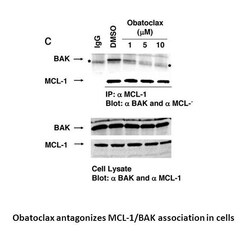 Apexbio Technology LLC Obatoclax mesylate (GX15-070), 803712-79-0, MFCD18074508, 10 mg