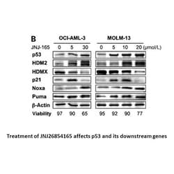 Apexbio Technology LLC JNJ-26854165 (Serdemetan), 25mg. Cas: 881202-45-5