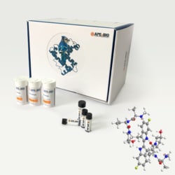 Apexbio Technology LLC Birinapant (TL32711), 1260251-31-7, MFCD25976869,
