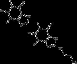 Apexbio Technology LLC&nbsp;Aminophylline 317-34-0 200mg
