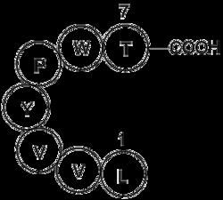 Apexbio Technology LLC SPINORPHIN 1MG, Quantity: Pack of 1