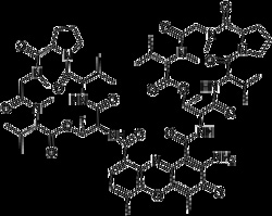 Apexbio Technology LLC Actinomycin D, 10mM (in 1mL DMSO). Cas: 50-76-0