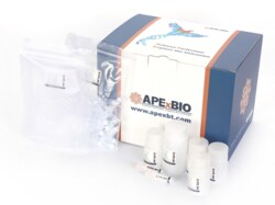 Apexbio Technology LLC APEXPREP DNA PLAS MINI COL 50T