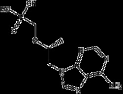 Apexbio Technology LLC Tenofovir,25mg CAS# 147127-20-6, Quantity: Each