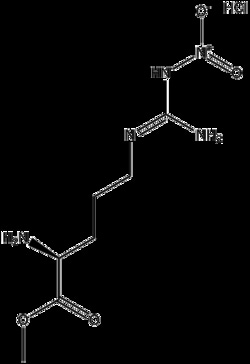 Apexbio Technology LLC L-NAME HYDROCHLORIDE 100MG, Quantity: Pack of 1