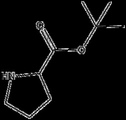 Apexbio Technology LLC&nbsp;H-Pro-OtBu 2812-46-6 5g