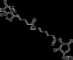 Apexbio Technology LLC Sulfo-NHS-LC-Biotin, 100mg. Cas: 127062-22-0 MFCD: