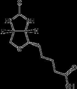 Apexbio Technology LLC Biotin, 10g. Cas: 58-85-5 MFCD: MFCD00005541. Lysine
