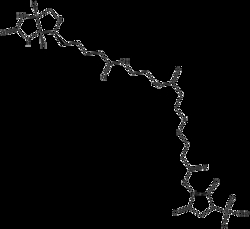 Apexbio Technology LLC&nbsp;Sulfo-NHS-SS-11-Biotin,100mg
