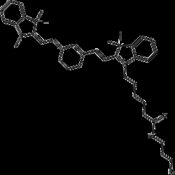 Apexbio Technology LLC Cy7 azide (non-sulfonated), 25mg. Cas: MFCD: NA.