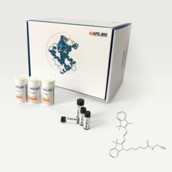 Apexbio Technology LLC Cy3 alkyne (non-sulfonated), 25mg. Cas: MFCD: NA.