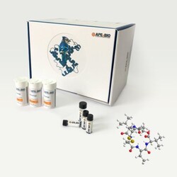 Apexbio Technology LLC Romidepsin (FK228, Depsipeptide), 128517-07-7, MFCD18433404,