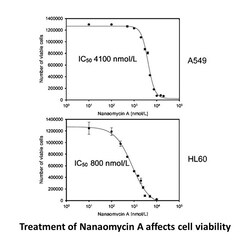 Apexbio Technology LLC Nanaomycin A, 5mg. Cas: 52934-83-5 MFCD: MFCD00869168.