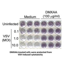 Apexbio Technology LLC DMXAA (Vadimezan), 25mg. Cas: 117570-53-3 MFCD:
