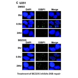 Apexbio Technology LLC BEZ235 (NVP-BEZ235), 500mg. Cas: 915019-65-7 MFCD: