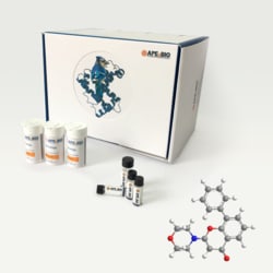 Apexbio Technology LLC&nbsp;LY 294002 154447-36-6 10mg