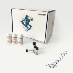 Apexbio Technology LLC PD 173074, 50mg. Cas: 219580-11-7 MFCD: MFCD08705327.