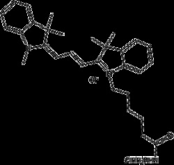 Apexbio Technology LLC Cy3 hydrazide (non-sulfonated), 25mg. Cas: MFCD: