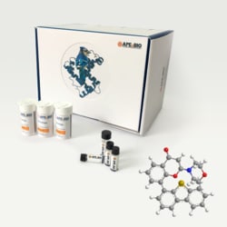 Apexbio Technology LLC NU7441 (KU-57788), 503468-95-9, MFCD11983069, 5