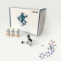 Apexbio Technology LLC Highly selective CDK4/6 inhibitor 827022-32-2. MFCD22420809,