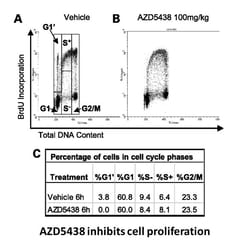 Apexbio Technology LLC AZD-5438, 10mg. Cas: 602306-29-6 MFCD: MFCD11112135.