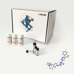 Apexbio Technology LLC R428, 1037624-75-1, MFCD21608463, 5 mg, Quantity: